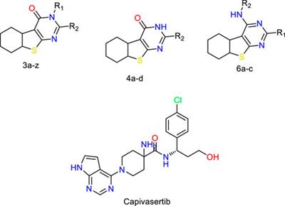 3D computer modeling of inhibitors targeting the MCF-7 breast cancer cell line